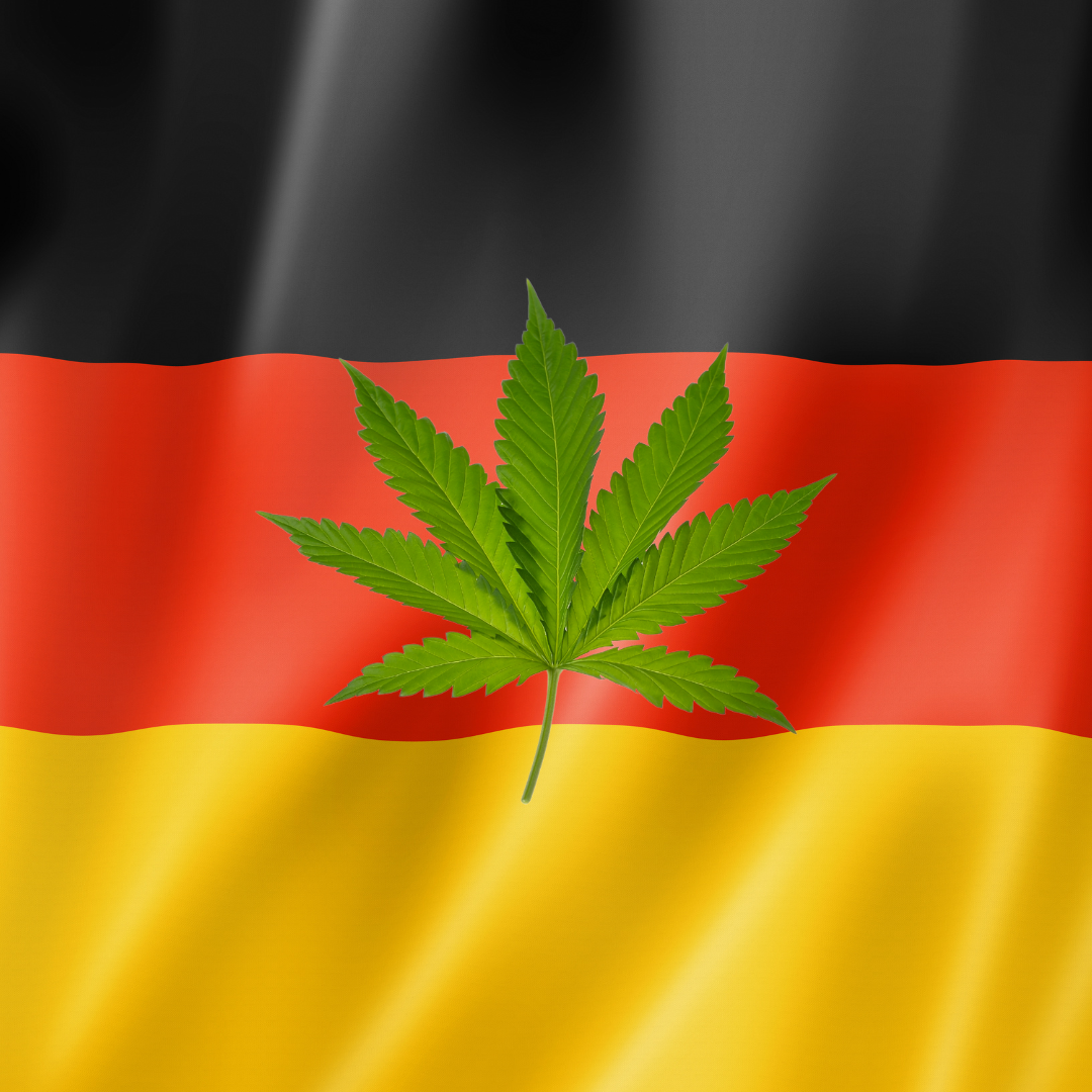 Nemecko hlasuje za legalizáciu marihuany!