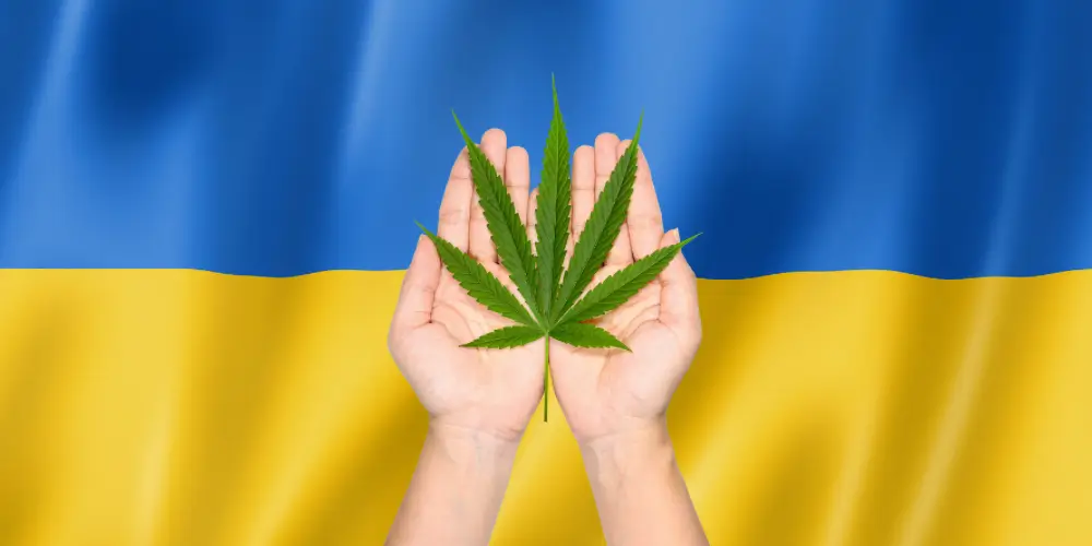Legalizácia Medicínskeho Kanabisu na Ukrajine