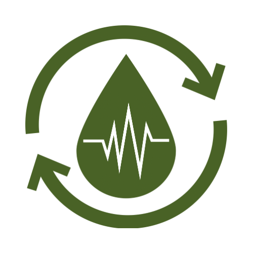 Cievy, Žily, Krvný obeh