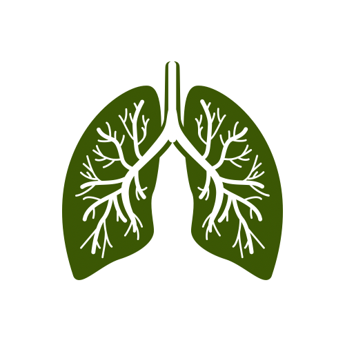 Pľúca