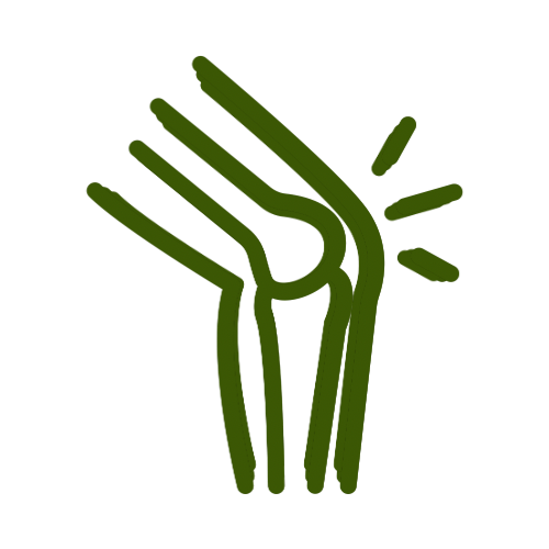 Pohybový aparát & Žily