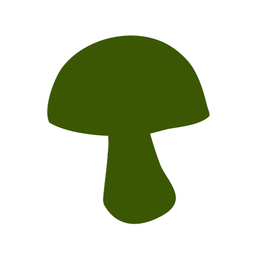 Tinktúry z liečivých húb